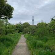 ヒメ日記 2025/05/03 11:04 投稿 あい 学園collection