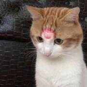 ヒメ日記 2025/09/27 15:16 投稿 レイナ コンプレックス(京都)