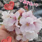 ヒメ日記 2025/04/11 09:45 投稿 みれい 人妻日記