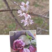 ヒメ日記 2024/12/09 10:44 投稿 みこと 奥様の実話 梅田店