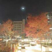 ヒメ日記 2024/12/10 08:56 投稿 みこと 奥様の実話 梅田店