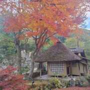 ヒメ日記 2024/12/17 09:04 投稿 みこと 奥様の実話 梅田店