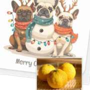 ヒメ日記 2024/12/21 10:17 投稿 みこと 奥様の実話 梅田店