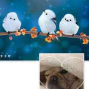 ヒメ日記 2024/12/23 08:57 投稿 みこと 奥様の実話 梅田店