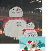 ヒメ日記 2024/12/24 09:51 投稿 みこと 奥様の実話 梅田店