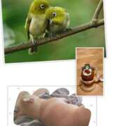 ヒメ日記 2024/12/25 09:14 投稿 みこと 奥様の実話 梅田店