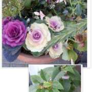 ヒメ日記 2024/12/27 10:38 投稿 みこと 奥様の実話 梅田店