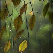 ヒメ日記 2025/01/06 09:36 投稿 みこと 奥様の実話 梅田店