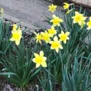 ヒメ日記 2025/01/11 09:36 投稿 みこと 奥様の実話 梅田店