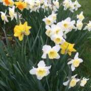 ヒメ日記 2025/01/19 09:00 投稿 みこと 奥様の実話 梅田店