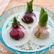 ヒメ日記 2025/01/23 13:59 投稿 みこと 奥様の実話 梅田店