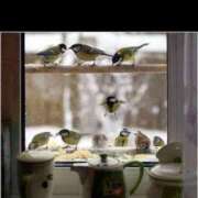 ヒメ日記 2025/01/24 08:56 投稿 みこと 奥様の実話 梅田店