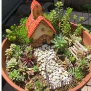 ヒメ日記 2025/01/26 09:44 投稿 みこと 奥様の実話 梅田店