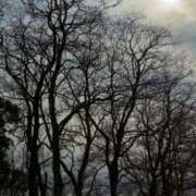 ヒメ日記 2025/01/29 09:02 投稿 みこと 奥様の実話 梅田店