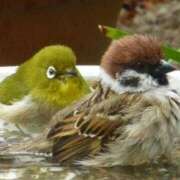 ヒメ日記 2025/01/30 09:04 投稿 みこと 奥様の実話 梅田店