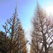 ヒメ日記 2025/02/07 09:04 投稿 みこと 奥様の実話 梅田店