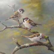 ヒメ日記 2025/02/10 10:44 投稿 みこと 奥様の実話 梅田店