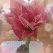 ヒメ日記 2025/02/13 09:01 投稿 みこと 奥様の実話 梅田店