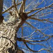 ヒメ日記 2025/02/14 08:52 投稿 みこと 奥様の実話 梅田店