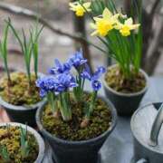 ヒメ日記 2025/02/20 09:52 投稿 みこと 奥様の実話 梅田店