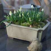 ヒメ日記 2025/02/21 08:54 投稿 みこと 奥様の実話 梅田店