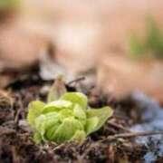 ヒメ日記 2025/02/26 08:55 投稿 みこと 奥様の実話 梅田店