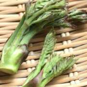 ヒメ日記 2025/02/27 08:54 投稿 みこと 奥様の実話 梅田店