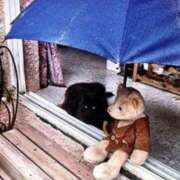 ヒメ日記 2025/03/04 08:45 投稿 みこと 奥様の実話 梅田店