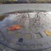 ヒメ日記 2025/03/05 08:48 投稿 みこと 奥様の実話 梅田店