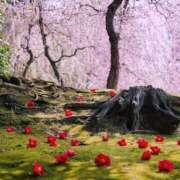 ヒメ日記 2025/03/06 09:42 投稿 みこと 奥様の実話 梅田店