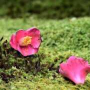 ヒメ日記 2025/03/07 08:56 投稿 みこと 奥様の実話 梅田店