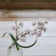 ヒメ日記 2025/03/08 08:45 投稿 みこと 奥様の実話 梅田店