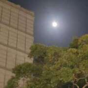 ヒメ日記 2025/03/15 10:03 投稿 みこと 奥様の実話 梅田店