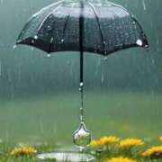 ヒメ日記 2025/03/16 08:16 投稿 みこと 奥様の実話 梅田店