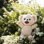 ヒメ日記 2025/03/20 10:50 投稿 みこと 奥様の実話 梅田店