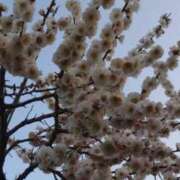 ヒメ日記 2025/03/21 08:51 投稿 みこと 奥様の実話 梅田店