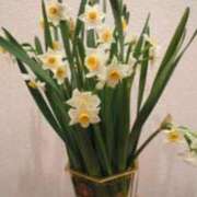 ヒメ日記 2025/03/22 08:55 投稿 みこと 奥様の実話 梅田店