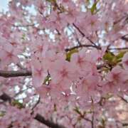 ヒメ日記 2025/03/25 08:51 投稿 みこと 奥様の実話 梅田店