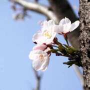 ヒメ日記 2025/03/28 09:34 投稿 みこと 奥様の実話 梅田店