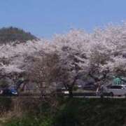 ヒメ日記 2025/03/29 09:01 投稿 みこと 奥様の実話 梅田店