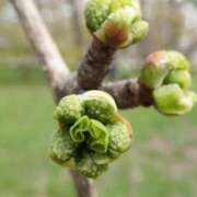 ヒメ日記 2025/04/02 09:43 投稿 みこと 奥様の実話 梅田店