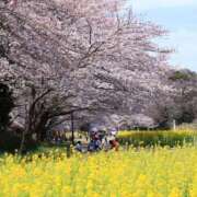 ヒメ日記 2025/04/03 08:57 投稿 みこと 奥様の実話 梅田店