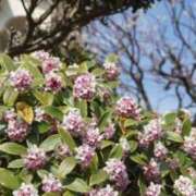 ヒメ日記 2025/04/04 08:53 投稿 みこと 奥様の実話 梅田店