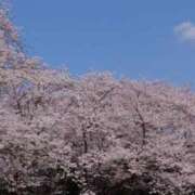 ヒメ日記 2025/04/07 15:51 投稿 みこと 奥様の実話 梅田店