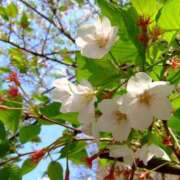 ヒメ日記 2025/04/13 08:53 投稿 みこと 奥様の実話 梅田店