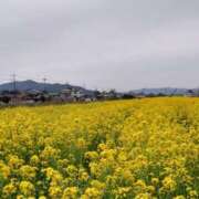 ヒメ日記 2025/04/14 19:30 投稿 みこと 奥様の実話 梅田店