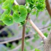 ヒメ日記 2025/04/16 08:58 投稿 みこと 奥様の実話 梅田店