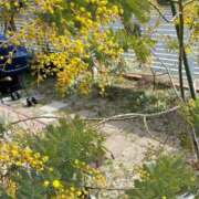 ヒメ日記 2025/04/17 10:39 投稿 みこと 奥様の実話 梅田店