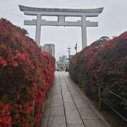 ヒメ日記 2025/04/21 08:54 投稿 みこと 奥様の実話 梅田店