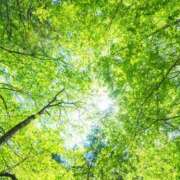 ヒメ日記 2025/04/24 08:53 投稿 みこと 奥様の実話 梅田店